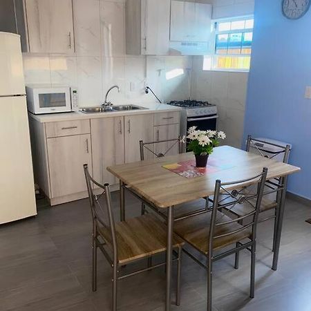 Cozy 1-Bedroom Apartment Close To City Center 威廉斯塔德 外观 照片